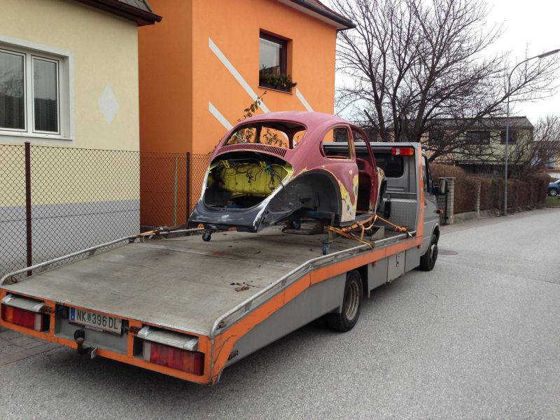 vw_kaefer_1302_02.jpg